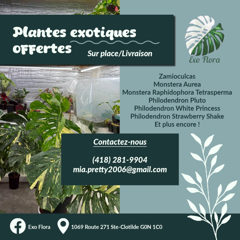 Affiche de ventes de plantes pour l'entreprise Exo Flora.